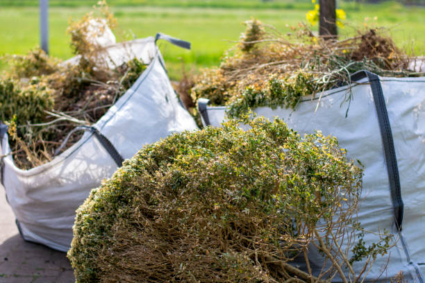 Best Office Junk Removal  in Monte Vista, CO